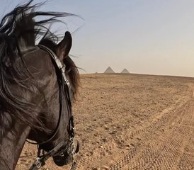 7 Day Horse Riding Holiday and Visit Fascinating Destinations in Cairo, Luxor, and Hurghada, Egypt - Photo 5