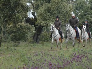 7 Day Picturesque Horse Riding Tour in Monfragüe National Park, Spain