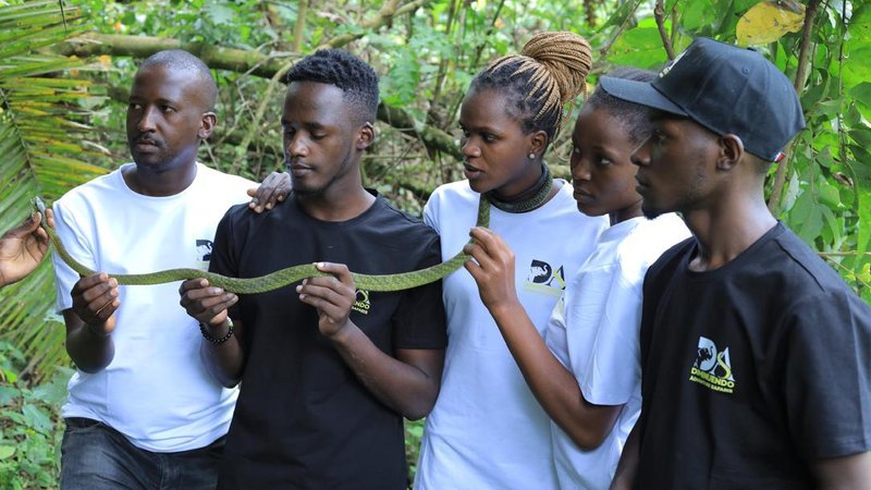 3 Day Unforgettable Gorilla Trekking Safari Holiday in Bwindi Impenetrable National Park, Uganda