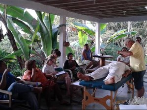 14 Day Ayahuasca and Frequencies of Light Therapy Course in Recife, Northeast Brazil