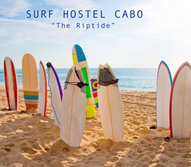 3 jours en stage de surf personnalisé à Cabo, Basse-Californie du Sud, Mexique - Photo 2