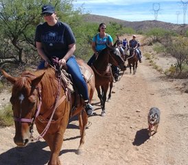 6 jours équitation authentique et séjour ranch à Elgin, Arizona, USA - Photo 3