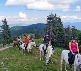 04-daagse point-to-point paardrijtocht door de wildernis van de Karpaten, Roemenië - Photo 1