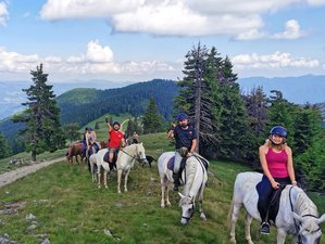 4 Day Romania Horse Riding Tour in The Wilderness of The Carpathian Mountains