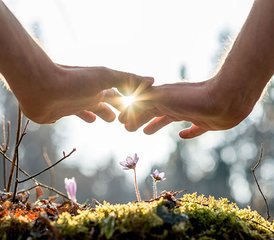 8 Tage Reiki-Kurs der Stufe 1 oder 2 mit Yoga auf Elba, Italien - Photo 5
