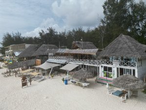 4 Day Beginners Kitesurfing Private Course in Jambiani, Tanzania