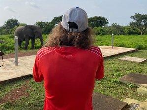 4 Day Ghana Safari at Cape Coast and Mole National Park