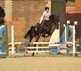 8 Tage Springreiten- oder Dressurtraining mit Ausreiten in Spoleto, Provinz Perugia, Italien - Photo 3