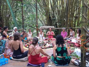 6 Day Sacred Herbal Healing Retreat in Dominical, Costa Rica