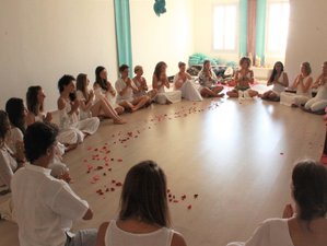 14 Day All-inclusive Explore India's Rich Culture and Yoga Tour with Meditation and Digital Detox