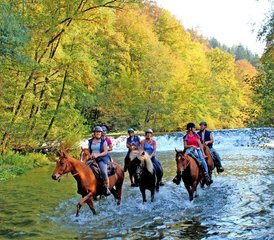 115 Day Castle Run Horse Riding Holiday in Bac, Slovenia - Photo 1