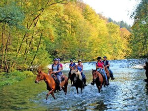 5 Tage Reiturlaub auf Schloss in Bac, Slowenien
