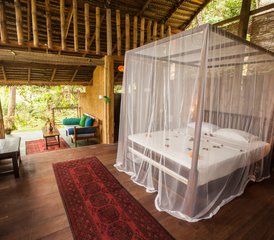 8 Day Uplifting and Nourishing Reformer and Yoga Holiday in Talalla, Sri Lanka - Photo 5