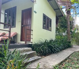 5 Tage Jungle Yoga Retreat in Khao Sok, Surat Thani, Thailand mit Tibetan Sound Bowl Healing - Photo 4