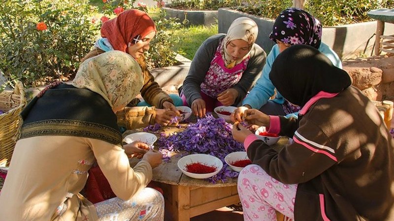8 Día Retiro de Desarrollo Personal: Un Viaje Hacia tu Interior en Marrakech, Marruecos