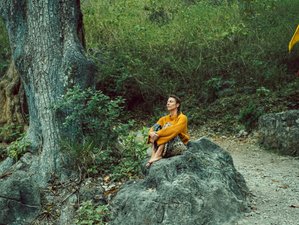 7 Day Holistic Meditation Retreat in Rishikesh, India with Yoga Nidra and Mindfulness