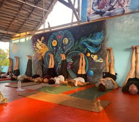 1028 jours-200h en formation de professeur de yoga hatha et vinyasa au Kerala, Inde du Sud. - Photo 1