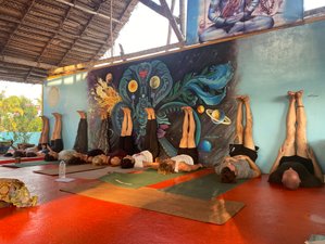 28 Day 200-Hour Hatha and Vinyasa TTC in Kerala, South India