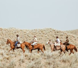4 Day Argentinean Cattle Ranch Experience and Horse Riding Holiday in La Pampa, Argentina - Photo 4