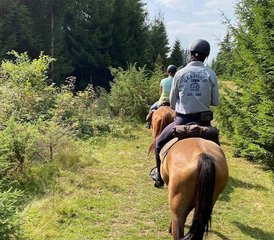5 Tage Wildnis und Stille Reiturlaub in Rumänien - Photo 4