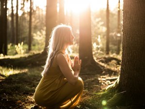 6 Day Moonlit Forest Yoga and Cacao Journey Retreat in Tryavna,Balkan Mountains, Bulgaria