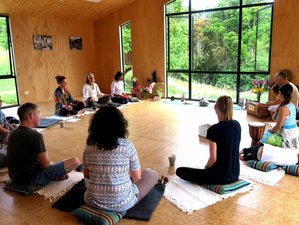 3 Day Winter Wellness Yoga Retreat in Taranaki, New Zealand