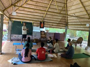 10 Day 85-Hour Prenatal and Postnatal Yoga Teacher Training Course in Mysore, India