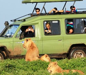 75 jours le meilleur safari en Tanzanie en 4x4 Land Cruiser, Tanzanie - Photo 1