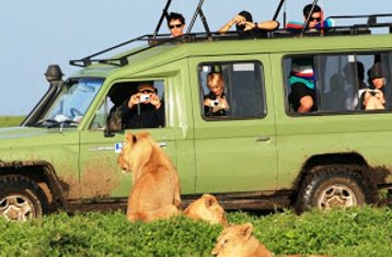 5-Daagse Best of Tanzania Safari in 4x4 Land Cruiser Jeep