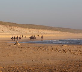 4 Day Horse Riding Weekend in the Landes, France - Photo 3