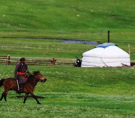 12 jours Steppe Rider : randonnée équestre en Mongolie - Photo 4