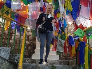 6 Day Yoga, Meditation and Sound Healing Retreat with Excursion in Dharmasala, India