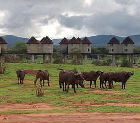 4-Daagse Safari Pakket vanaf Mombasa tot Taita Hills Salt Lick, Tsavo-West en Amboseli in Kenia - Photo 2