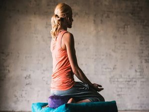 3 Day Weekend Deepening Meditation Retreat With Yoga in Urrbrae