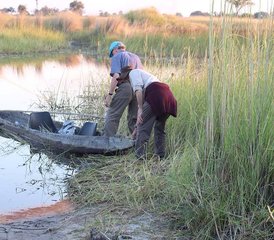 4-Daagse Okavango Delta Bootsafari in Botswana - Photo 4