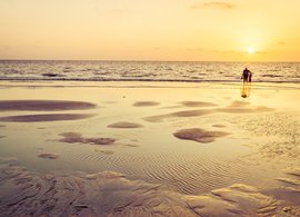 Varkala Retreats & Trips