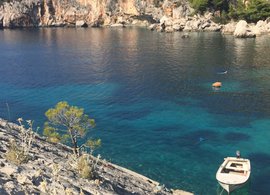 Hvar island Retreats & Trips