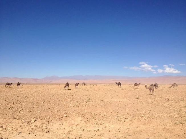 6 Day Mini Mountain & Desert | Guided Off-road Motorcycle Tour in Morocco photo 6