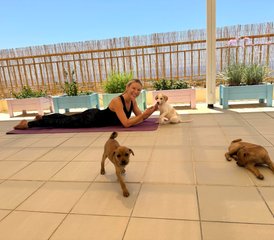 7 Day Find Inner Balance and Zest for Life at a Puppy Yoga Retreat in Cyprus - Photo 4