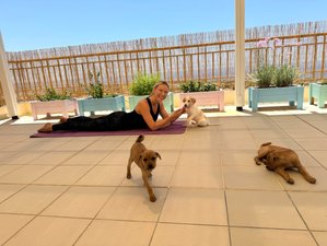 7 jours pour trouver l'équilibre intérieur et le zeste de sa vie : stage de yoga avec chiots à Chypre