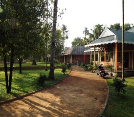 4 días de retiro de meditación, yoga y ayurveda en Chalakkudy, Kerala - Photo 2
