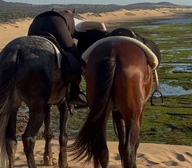 3 Jour Circuit Privé à Cheval au Maroc pour Tous les Niveaux : Forêt, Dunes et Plages - Photo 3