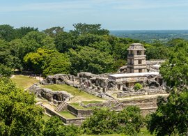Palenque Retreats & Trips