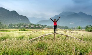 Hoa Binh Retreats und Reisen