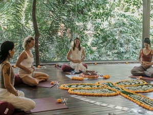 7 Day Journey to Self Retreat in Ubud, Bali, Indonesia