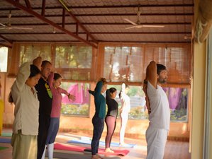 5 Day Traditional Yoga and Meditation Retreat in Rishikesh, India