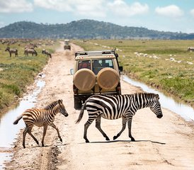 5-Daagse Luxueuze Safari in Amboseli National Park en Lake Naivasha, Kenia - Photo 3