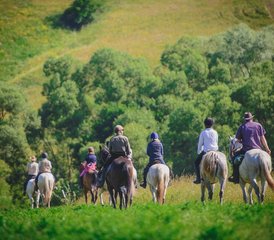 7 Tage Reiturlaub zur Entdeckung der Verborgenen Pfade und der Kultur Siebenbürgens, Rumänien - Photo 3