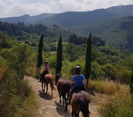 4-daagse geweldige paardrijvakantie in Toscane, Montieri, Italië - Photo 4