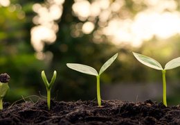 Personal Development Retreats Retreats & Trips